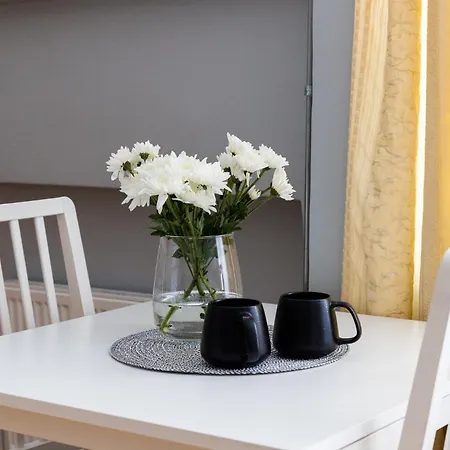 شقة Ad Cozy Studio Near Bus Station, In The City Center, 3 Km From Airport تالين